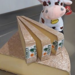 Comté Comté Bio